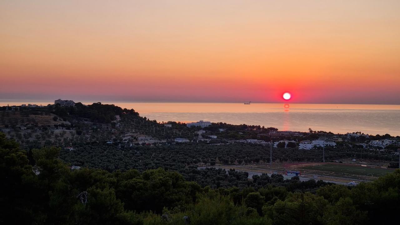 Maresol Vieste