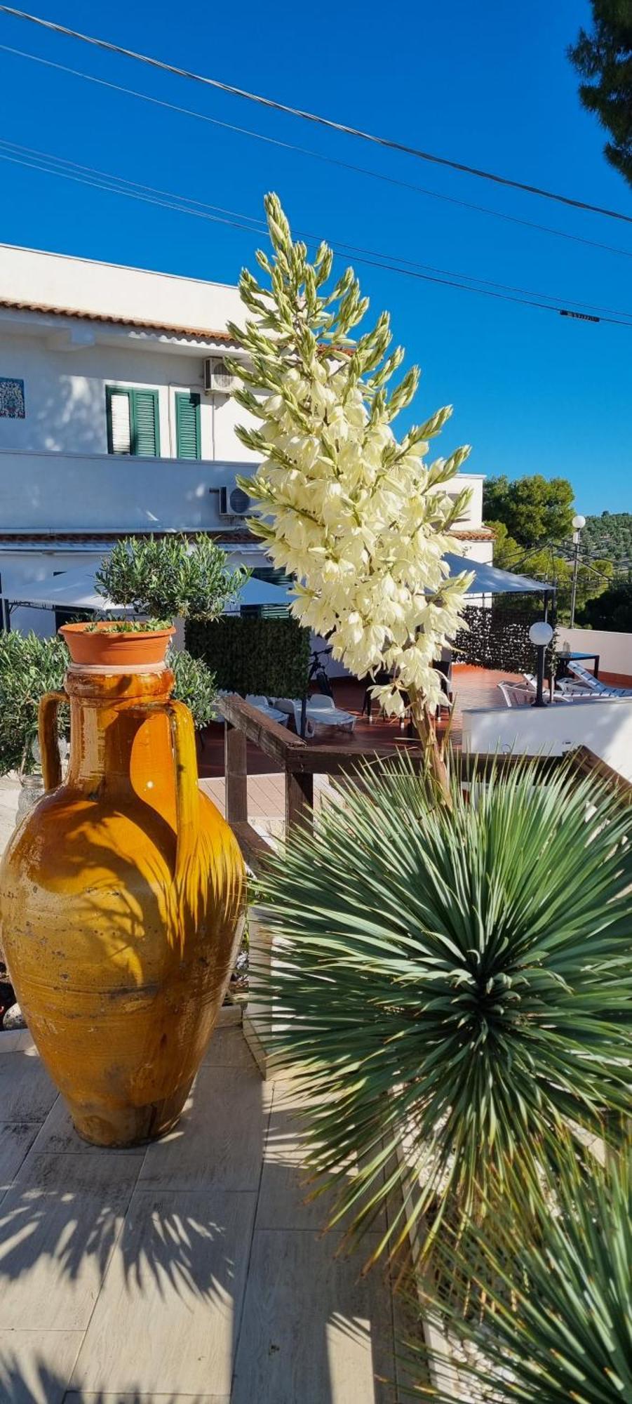 Maresol Aparthotel Vieste